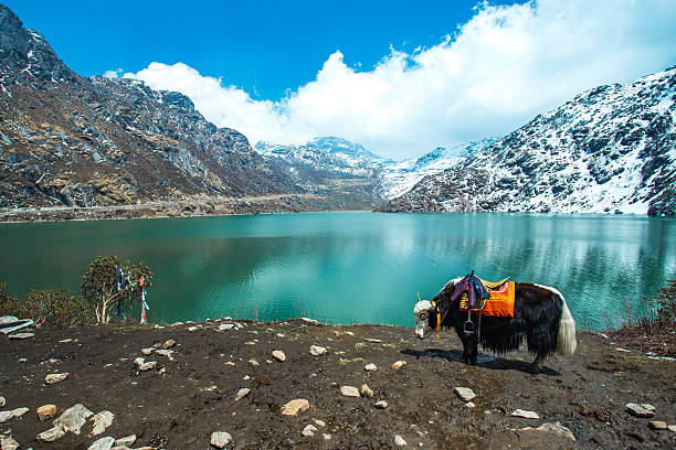 Sikkim.jpg